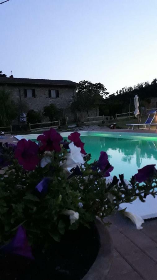 Agriturismo Vista Sole Villa Mercatale  Exteriör bild