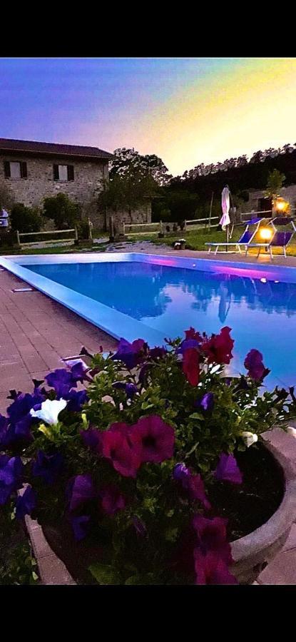 Agriturismo Vista Sole Villa Mercatale  Exteriör bild
